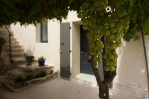 Appartements Gîtes Du Mas de Surlan 165 Route du mas de Surlan Chantemerle-les-Blés