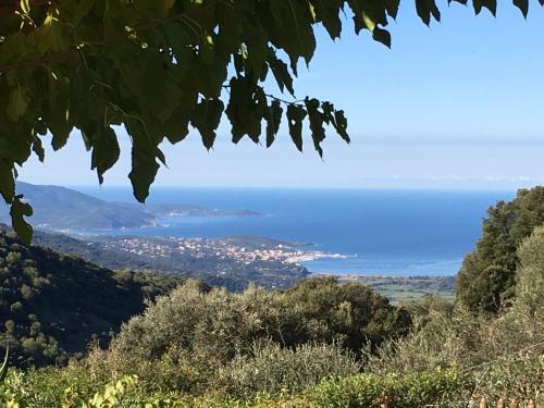 Maisons de vacances Gîtes ruraux Aria Falcona Route du Hameau des Giacomoni Santa-Maria-Figaniella