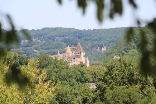 Maison de vacances Gites Vive la Vie - gite met kasteelzicht Lieu dit Lapeyre Envaux