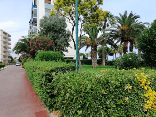 Appartement GL La Frégate 5 Promenade de la Plage Cagnes-sur-Mer