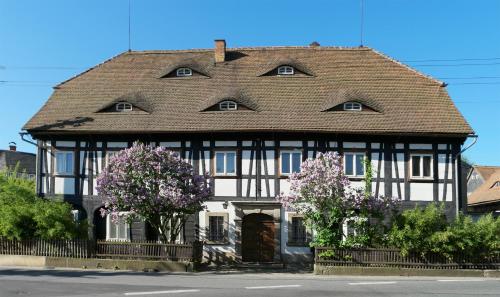 Goldberghaus Großschönau allemagne