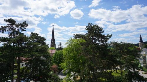 Goldrausch - Stilvolle Ferienwohnung am Lutherplatz Meissen allemagne