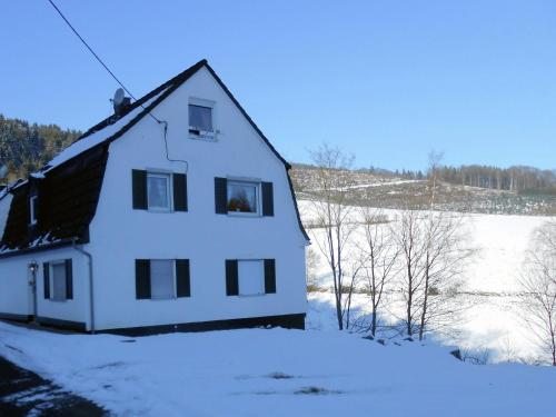 Gorgeous Apartment in Olsberg near Ski Area Elpe allemagne
