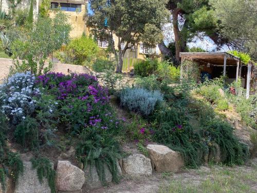 Grand appartement avec jardin et proche de la mer Casaglione france