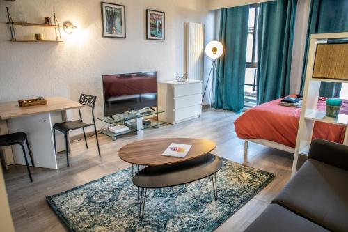 Grand Studio Stan Nancy - calme, cosy, lumineux Nancy france