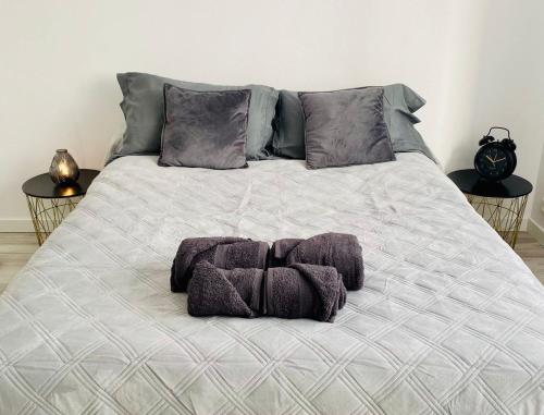 Grand T2 cosy proche Dijon Centre - parking gratuit Talant france