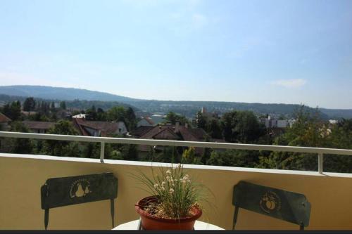 Grand T3 Terrasse calme Vue sur citadelle Besançon france