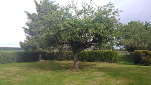 Grande Maison de plain pied avec jardin arboré. Champignelles france