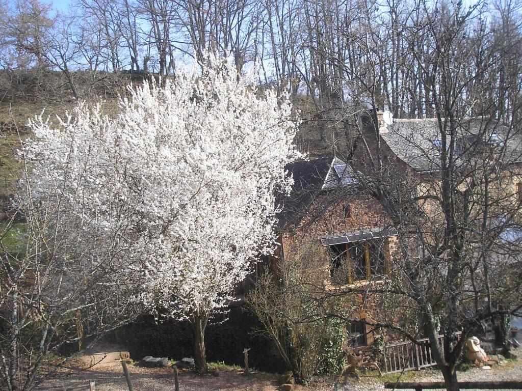 Maison de vacances grange rénovée en pleine nature Le Bosc, 12330 Valady