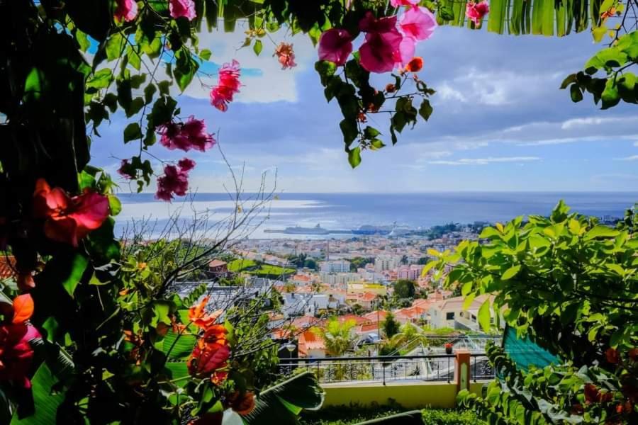 Maison de vacances Granny's house view 17 Rua das Lajes, 9050-442 Funchal