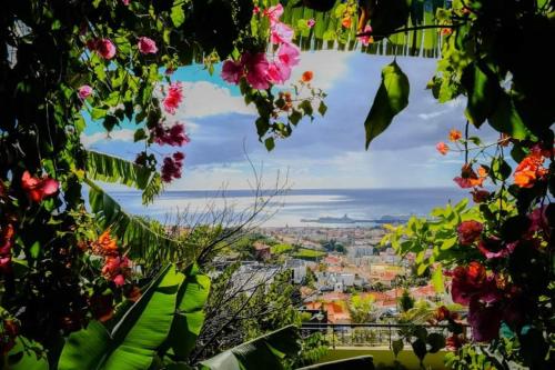 Maison de vacances Granny's house view 17 Rua das Lajes Funchal