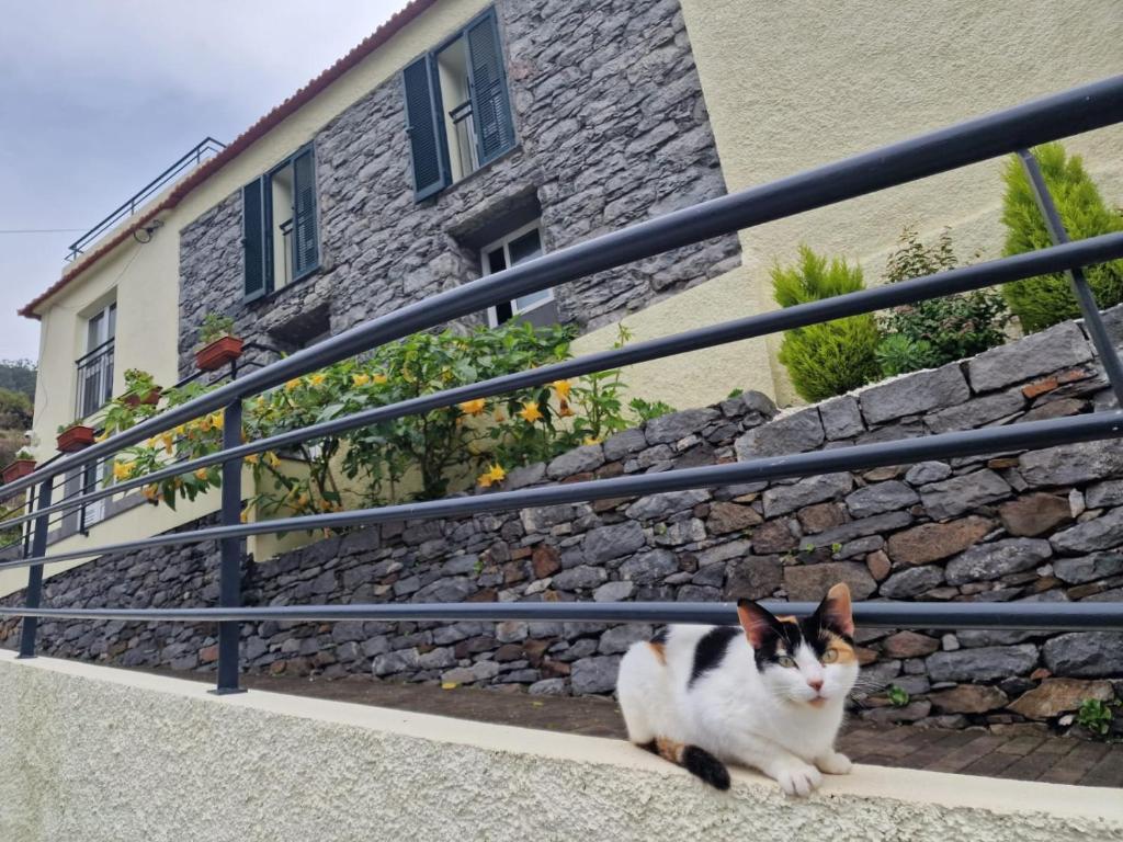 Maison de vacances Green Valley House Madeira Caminho da Levada Grande, n 23, 9350-344 Ribeira Brava