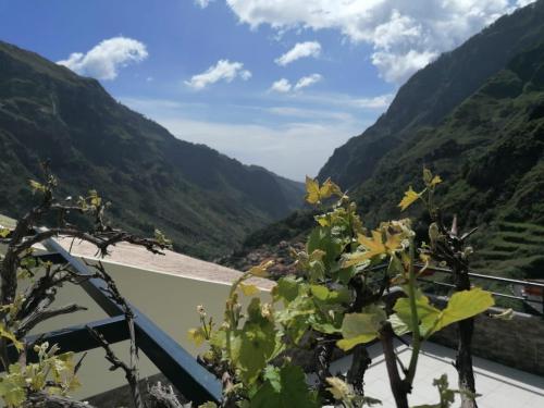 Green Valley House Madeira Ribeira Brava portugal