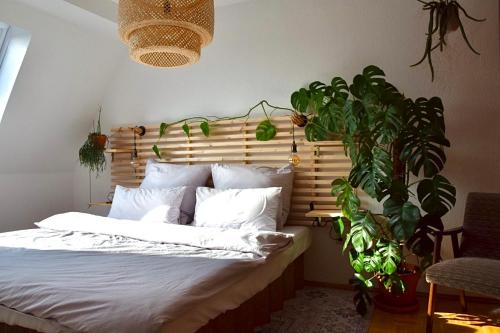 GreenBnBs: Cozy Urban Jungle in the City Centre Essen allemagne