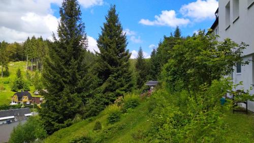 Greizer Kammhütte Gaststätte & Pension Klingenthal allemagne