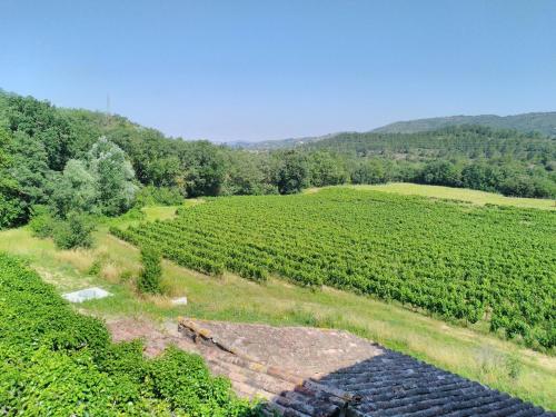 Maison de vacances Grès Vaillant Chemin du Casse Saint-Polycarpe