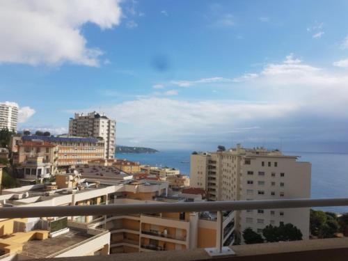 Appartement Grimaldi Forum sea view 2 Boulevard de la Turbie Beausoleil