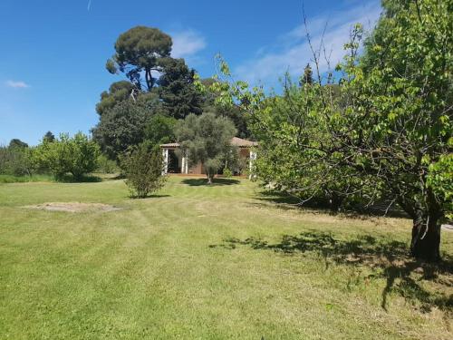 Villa GROOMI La Bucolique-Villa en plein coeur de la verdure ! 1 Rue Fon de l'Hospital Saint-Jean-de-Védas