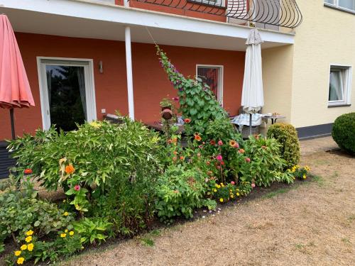 Grüne Oase Kottenheim allemagne