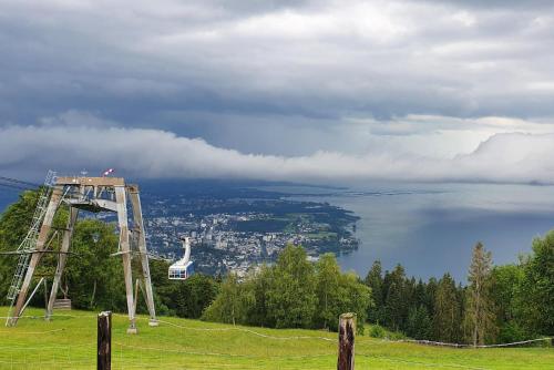 Grünes Allgäu Opfenbach allemagne