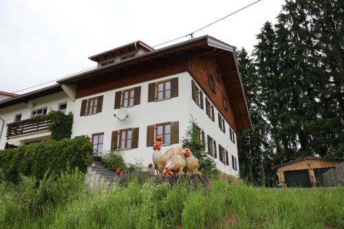 Grüntenblick Weitnau allemagne