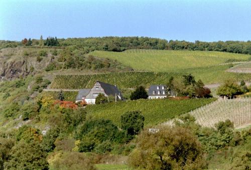 Maison d'hôtes Gut Hermannsberg, Gästehaus Ehemalige Weinbaudomäne Niederhausen