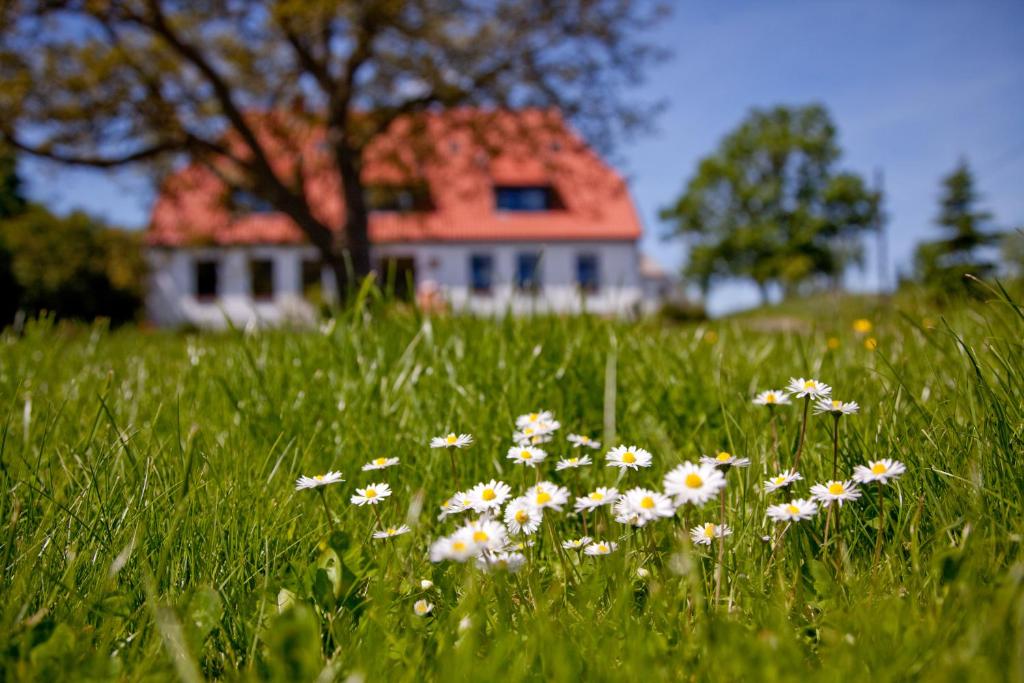 Maison d'hôtes Gutshaus Ketelshagen Ketelshagen 4, 18581 Putbus