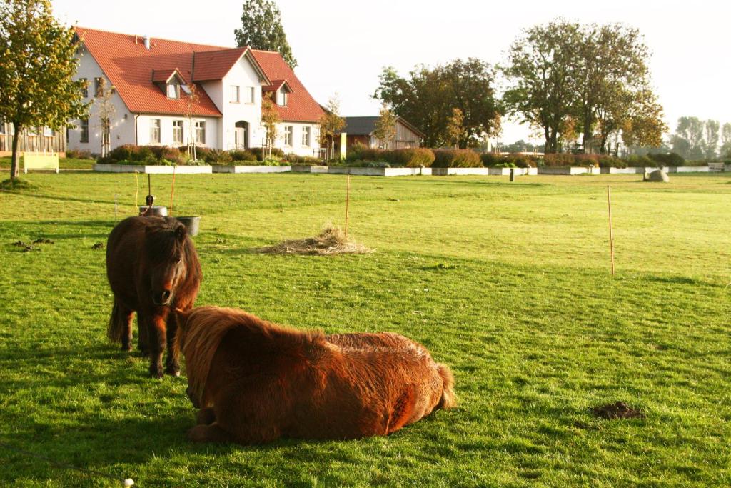 Maison de vacances Gutshaus Landwert Hof LandWert Hof, 1, 18519 Stahlbrode