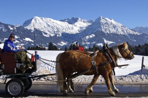 Appartement Haflinger Hof Oberdorf 12 Obermaiselstein