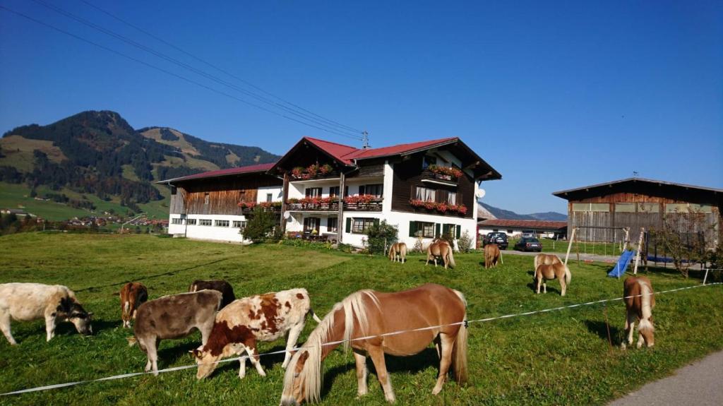 Appartement Haflinger Hof Oberdorf 12, 87538 Obermaiselstein