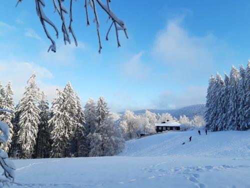 Appartement Hahnenklee mit Seeblick im Harz Parkstraße 14 Goslar