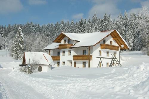 Appartements Haidberg-Hof Haidberg 1 Sankt Englmar