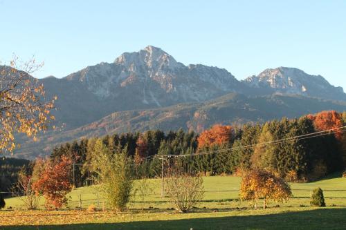 Hainbuchhof Anger allemagne