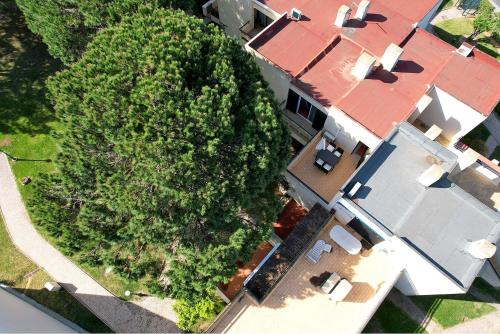 Hakuna Matata House Alvor portugal