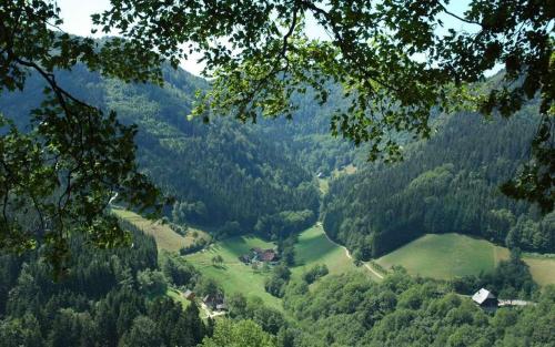 Appartement Haldenschwarzhof 8 Zweribachweg Simonswald