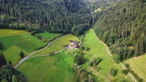 Haldenschwarzhof Simonswald allemagne
