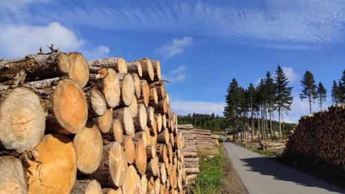 Appartement Harz Blick Robert-Roloff-Straße 27 Braunlage