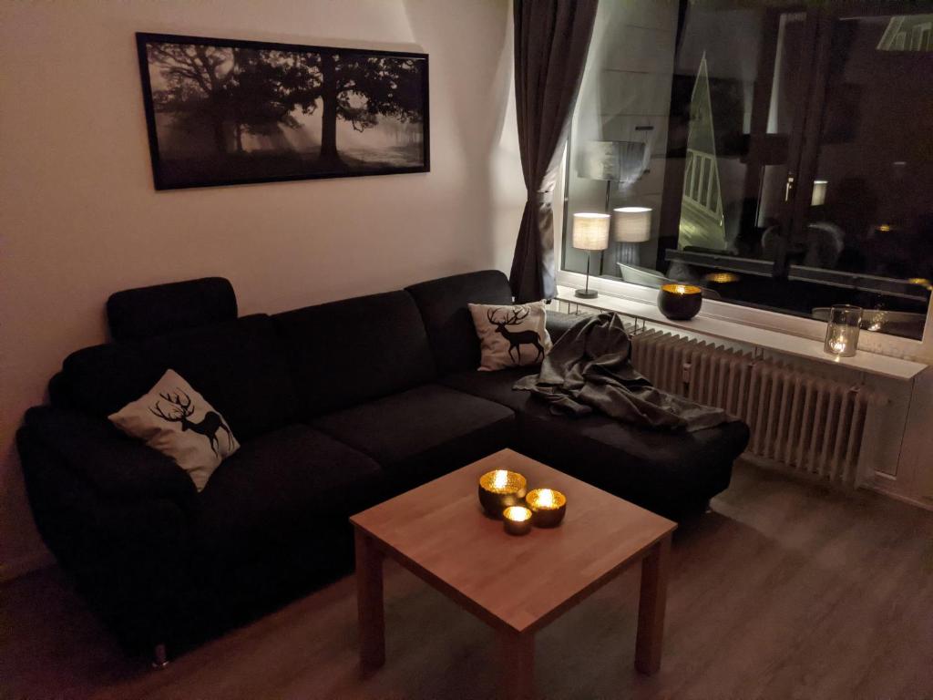 Appartement Harzbude 2 Hüttebergstraße, 38700 Braunlage