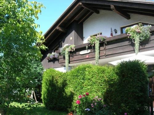 Appartements Harzhaus Rauch Anemonenweg 2 Braunlage