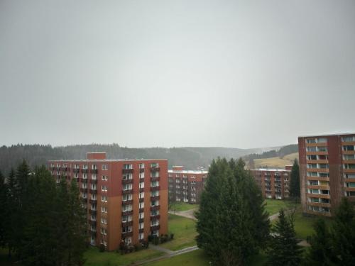 Appartement Harzlich Auf dem Glockenberg 16Haus B B1 7-1 Altenau