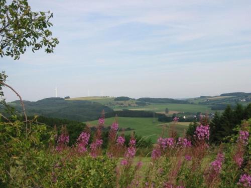 Haus 1 - Typ C (kombiniert) Schönecken allemagne