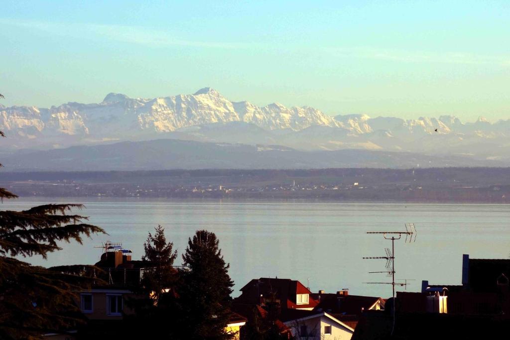 Appartements Haus Alexander Sonnhalde 6, 88709 Meersburg