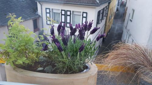 Villa Haus Alfina Brückenstrasse 13 Fam. Gessler Alf