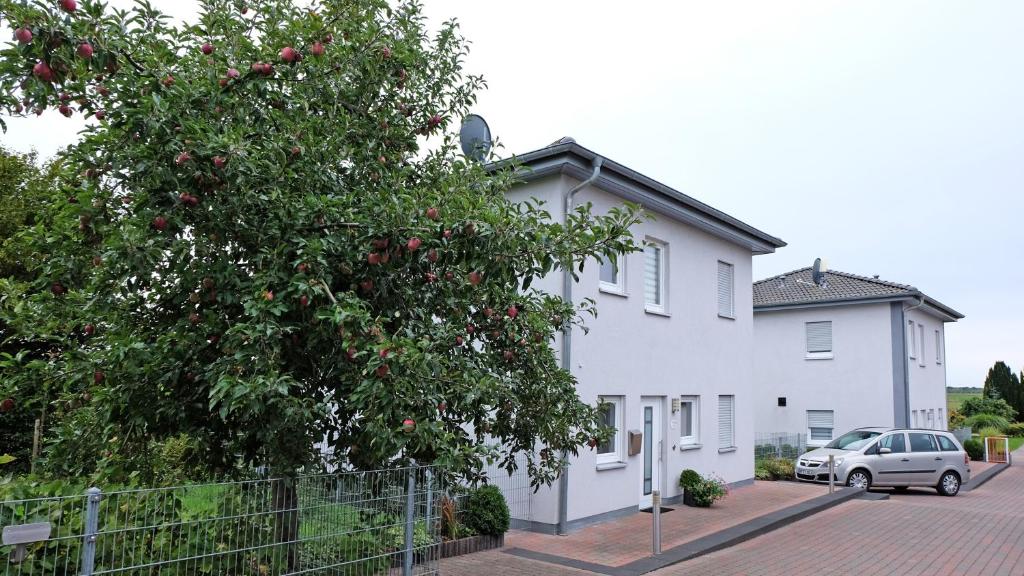 Maison de vacances Haus am Apfelhain Hoferstraße 28, 52538 Gangelt