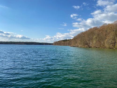 Haus am Grimnitzsee mit Garten Joachimsthal allemagne