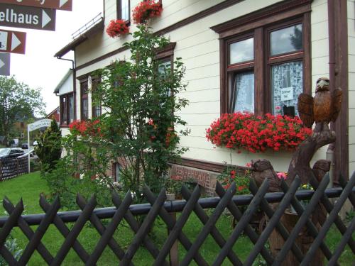 Haus am Kurpark Sankt-Andreasberg allemagne