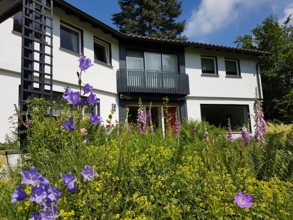 Séjour chez l'habitant Haus am Park Stadtallendorf 15 Müllerwegstannen, 35260 Stadtallendorf