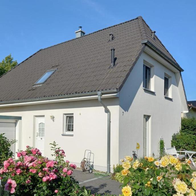 Maison de vacances Haus-Am-See-Pratzschwitz 7 am See, 01796 Pirna