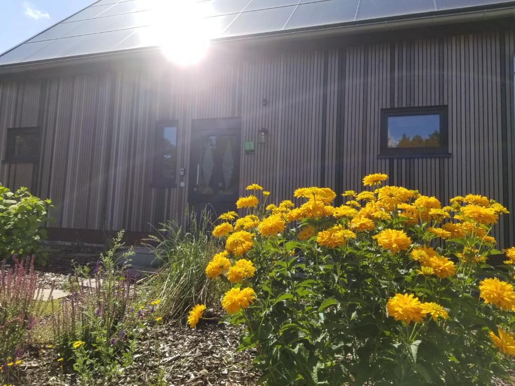 Maison de vacances Haus am See Tannenhof 1, 49597 Rieste