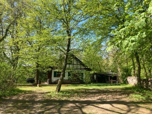 Appartement Haus am Wald Goethestraße 16 von Unterkunft 10 Minuten entfernt Waldhaus für 4 Personen Rudolstadt